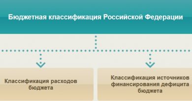 Состав бюджетной классификации Российской Федерации