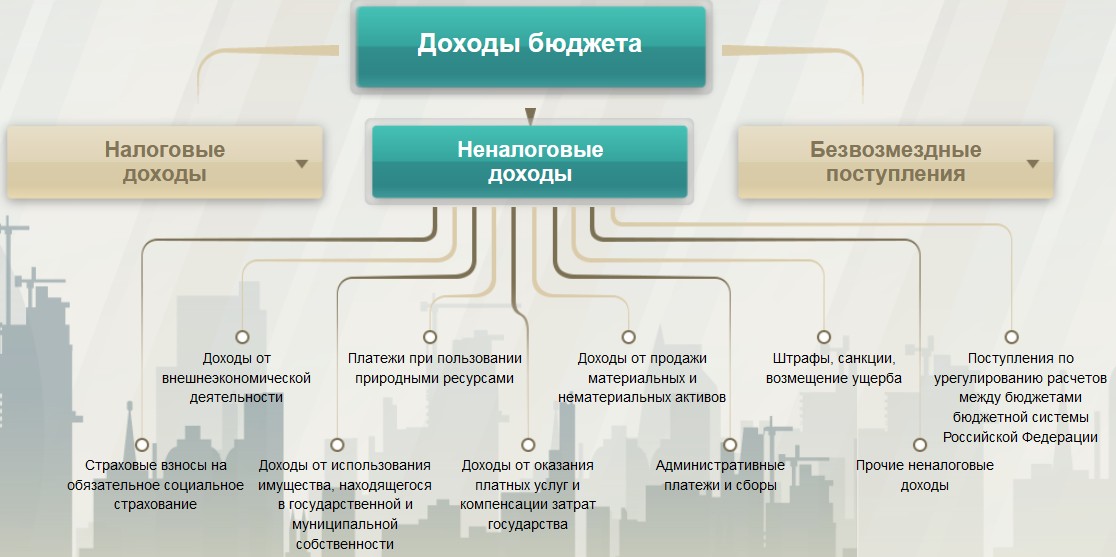 Состав неналоговых доходов бюджетов бюджетной системы Российской Федерации