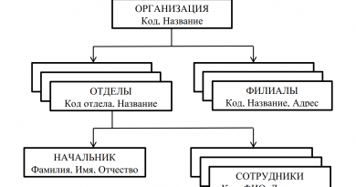 Иерархическая модель данных организации